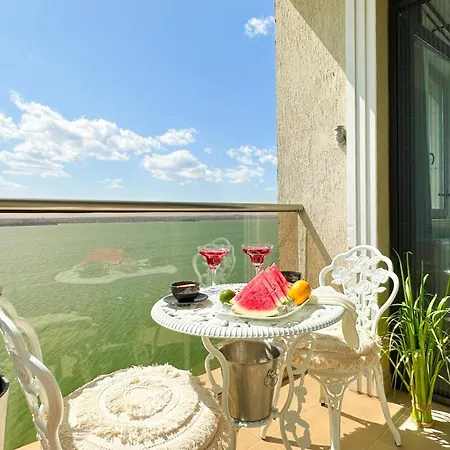 Deluxe Nicolle Solid *