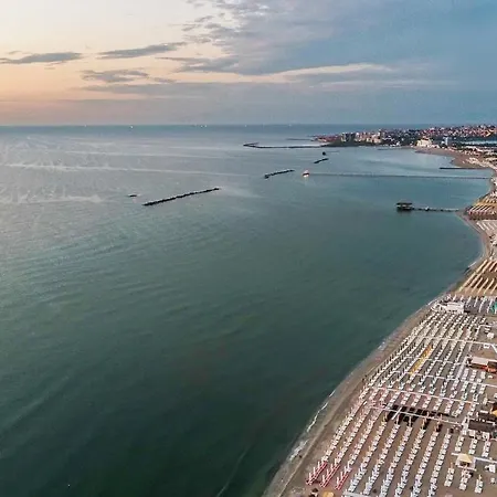 Deluxe Nicolle Solid *