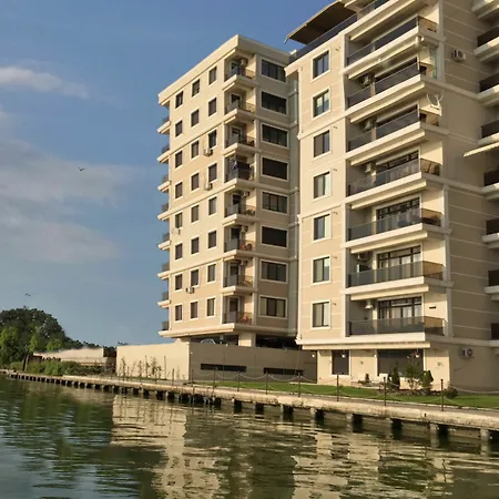 Deluxe Nicolle Solid *