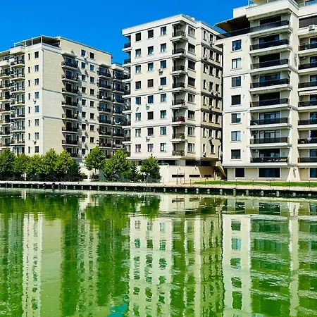 Deluxe Nicolle Solid *