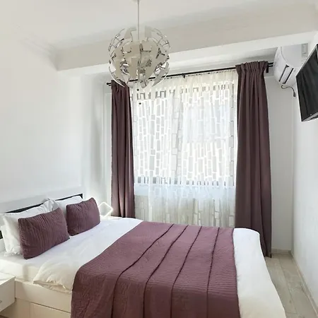 Deluxe Nicolle Solid