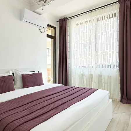 Deluxe Nicolle Solid *